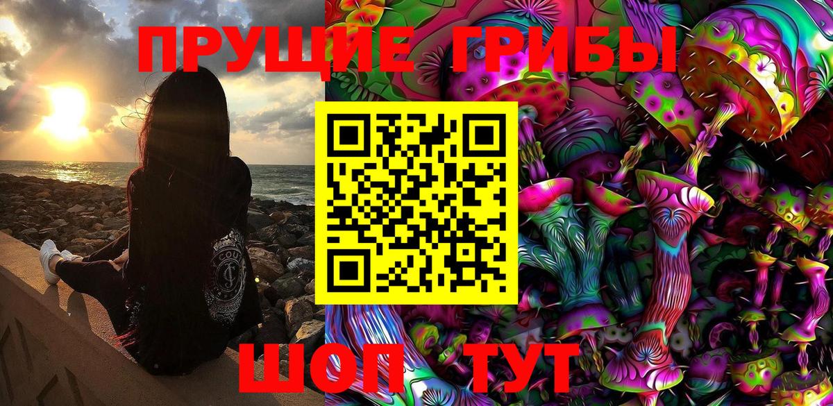 Верхний Уфалей  Псилоцибиновые грибы прущие грибы  Вход с VPN 