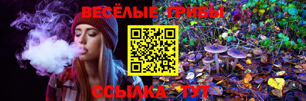 Псилоцибиновые грибы ЛСД Верхний Уфалей
